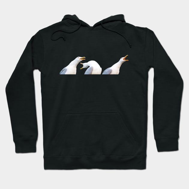 Inhaling Seagull Hoodie by KrazedKreations